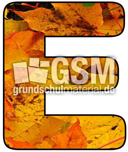 Herbstbuchstabe-2-E.jpg